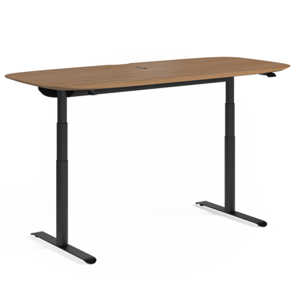 walnut rounded edge electric sit stand desk