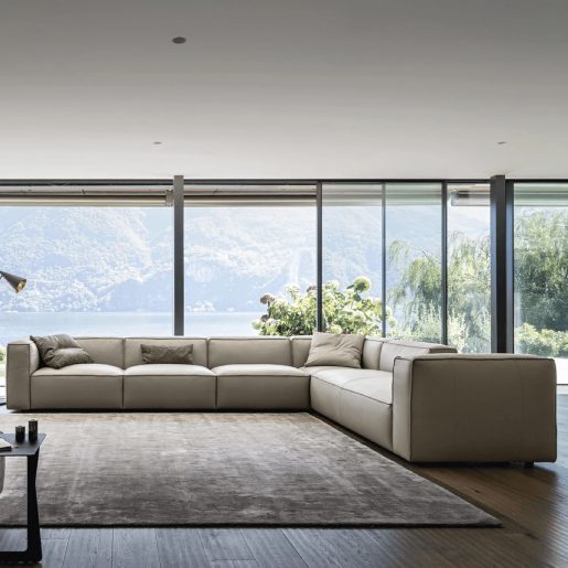 Minimalist designer sofa sets